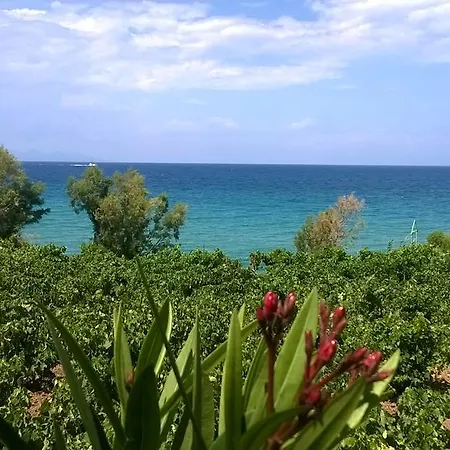 Antonis Deluxe Ammoudi