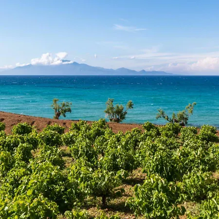 Apartament Antonis Deluxe *