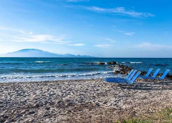 Antonis Deluxe Amoudi